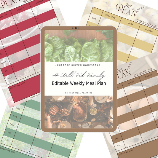 A Well-Fed Family: Weekly Meal Planning Editable Template