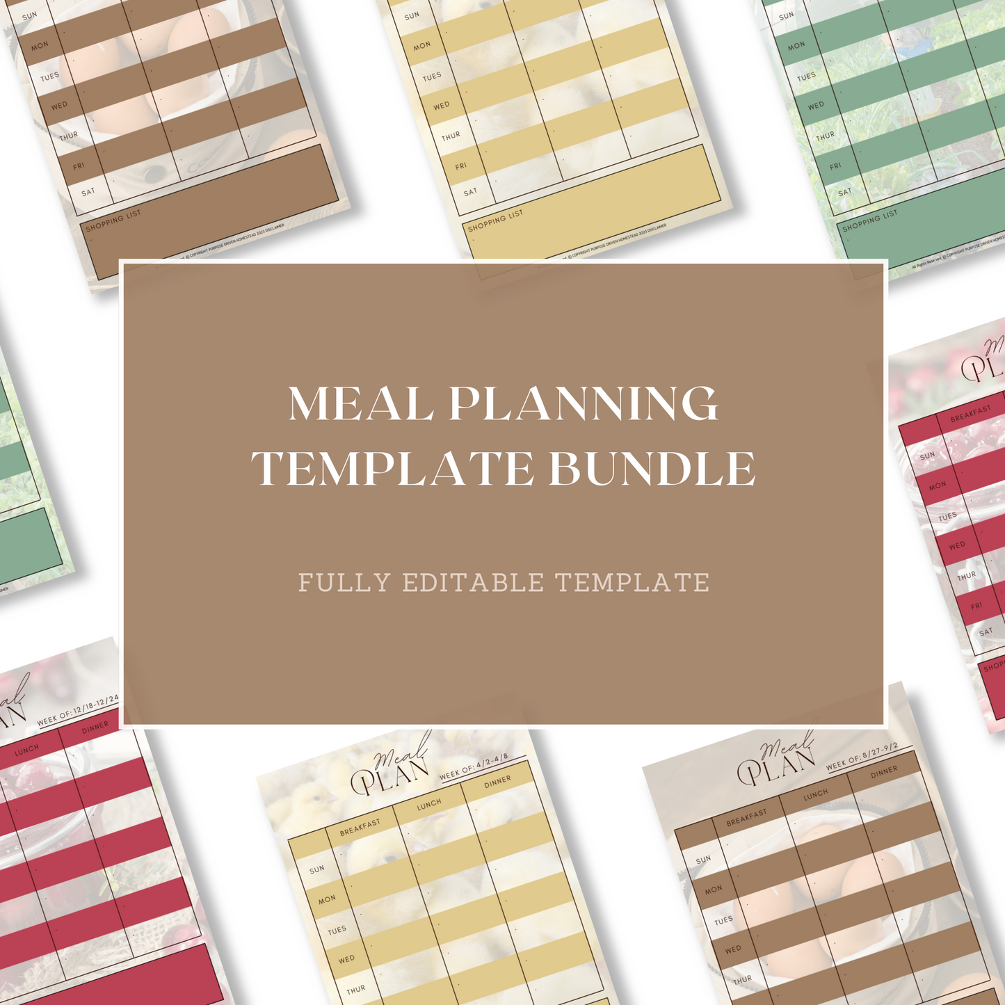 A Well-Fed Family: Weekly Meal Planning Editable Template