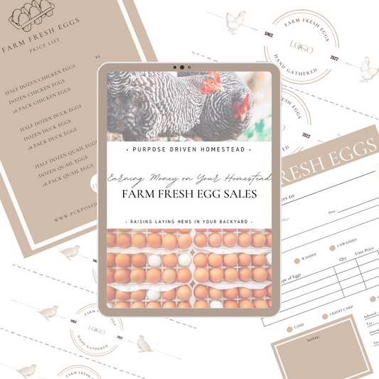 Farm Fresh Egg Sales Marketing Editable Template