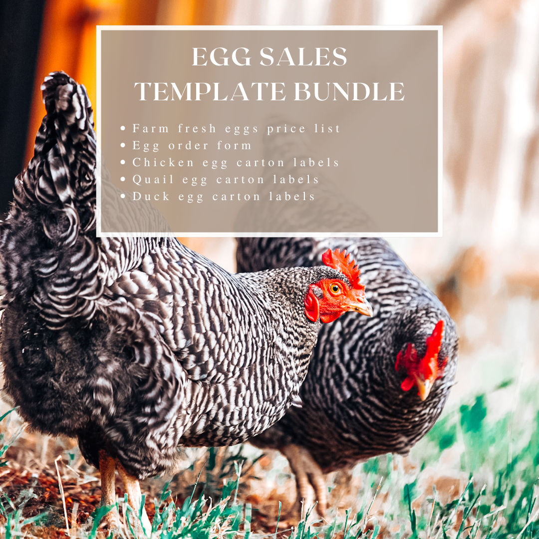 Farm Fresh Egg Sales Marketing Editable Template