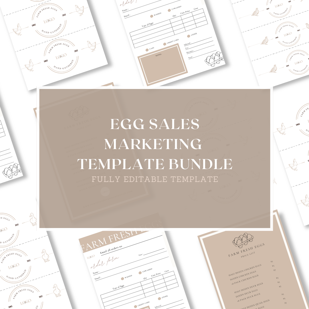 Farm Fresh Egg Sales Marketing Editable Template